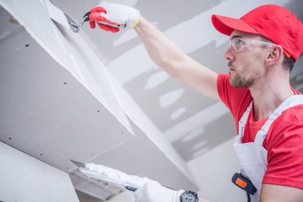 Best Drywall Crack Repair  in Detroit Lakes, MN